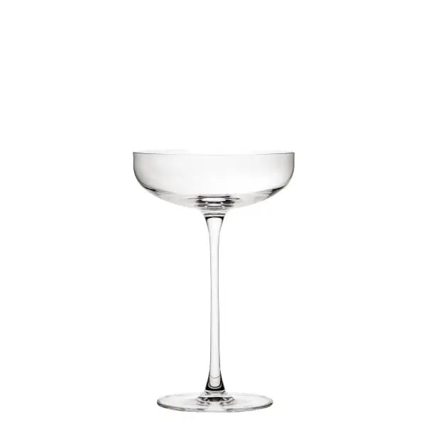 Verre en coupe SAVAGE - 22cl