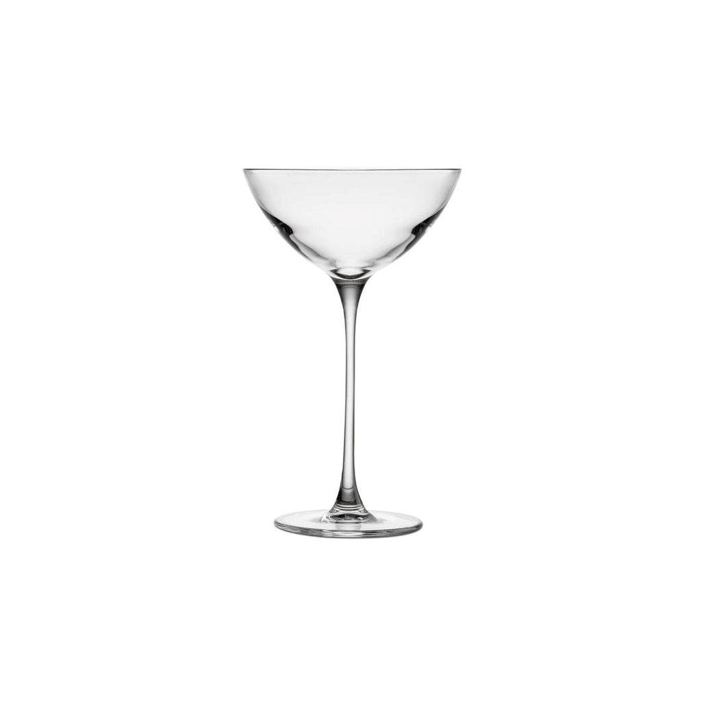 Verre en coupe SAVAGE - 17cl