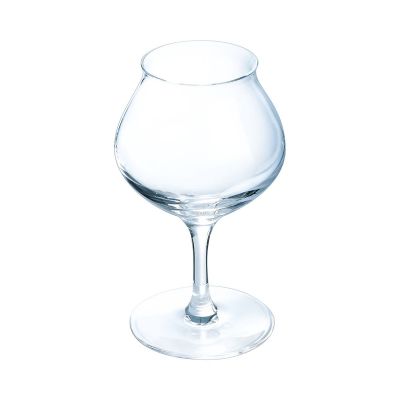 Verres à dégustation Rhum - SPIRIT - 17cl